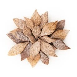 Silikomart Emporte-pièce Voila Cookie - Feuilles 24 X 15 Cm -Boutique Silikomart 561004 2 2 Emporte piece Voila cookie Feuilles 24 x 15 cm Silikomart